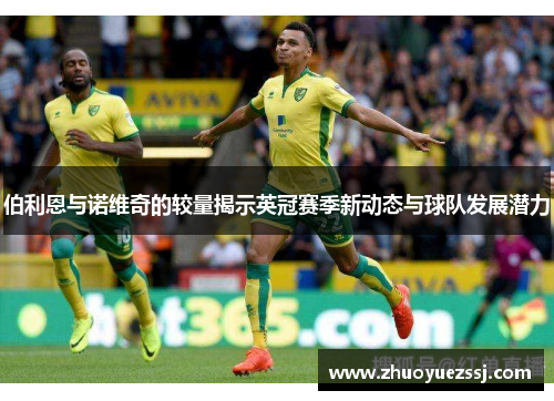 伯利恩与诺维奇的较量揭示英冠赛季新动态与球队发展潜力